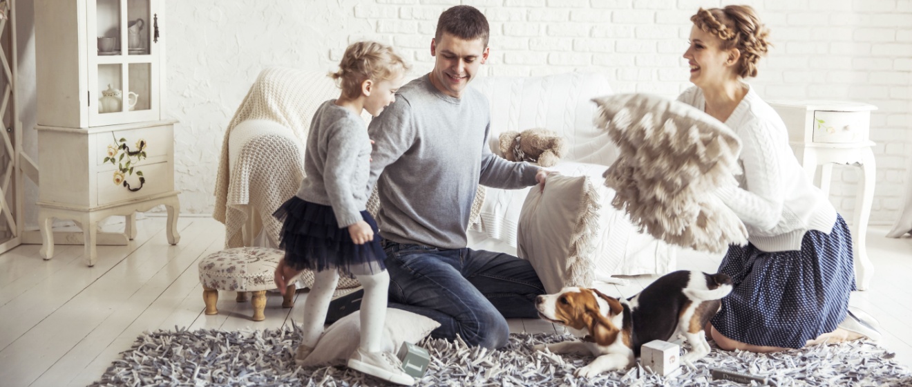 Who’s the Best Pest Control Company for Pet Owners in Lebanon, TN?